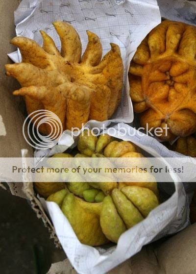 phật thủ và mâm ngũ quả