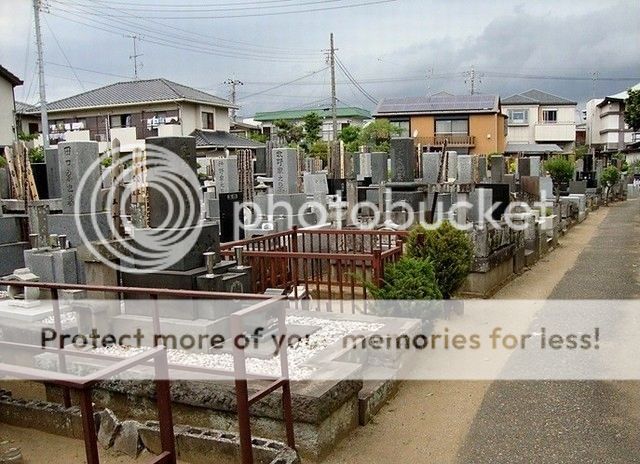 Ichikawa%20033_zps4bxqzrpi.jpg
