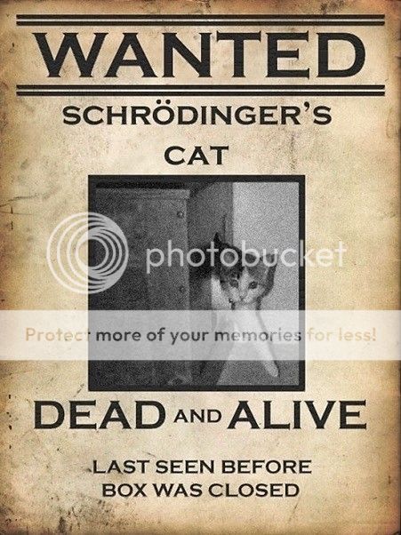 Schroumldingers_cat_zpsdheaxw5j.jpg