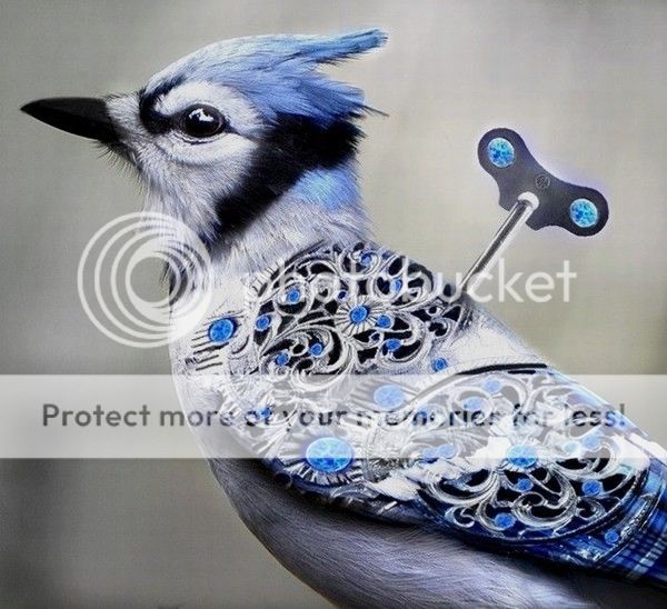 bird3_zpsao4yl2bp.jpg