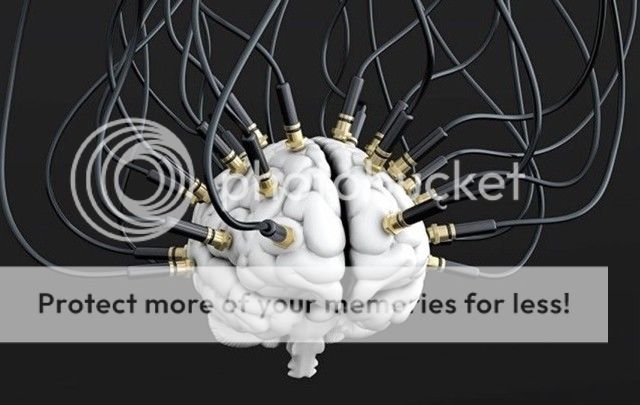brain16_zpsf51kln1s.jpg