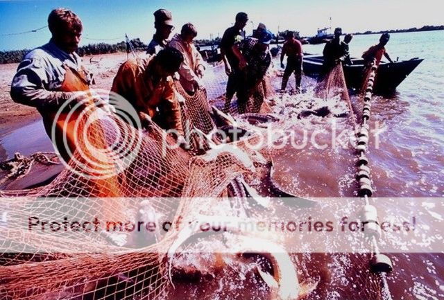 fishing_zps8lwjfj3m.jpg