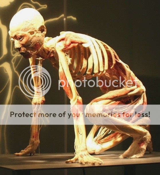 human_race_zpskkbuhx9o.jpg