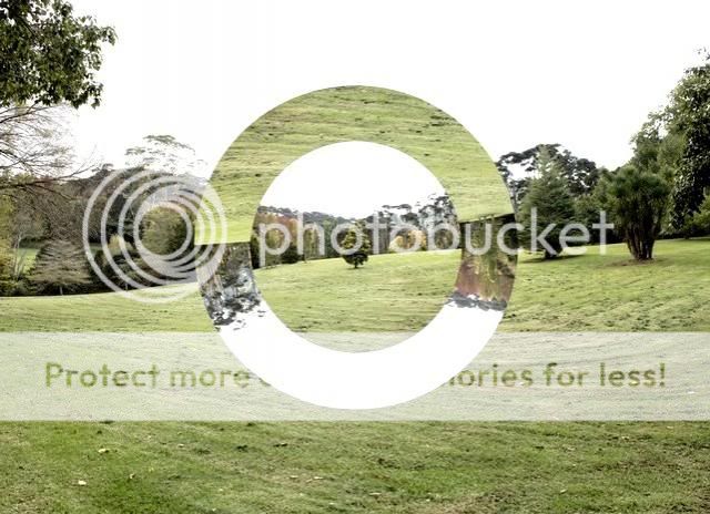 park_zps9bb82d18.jpg