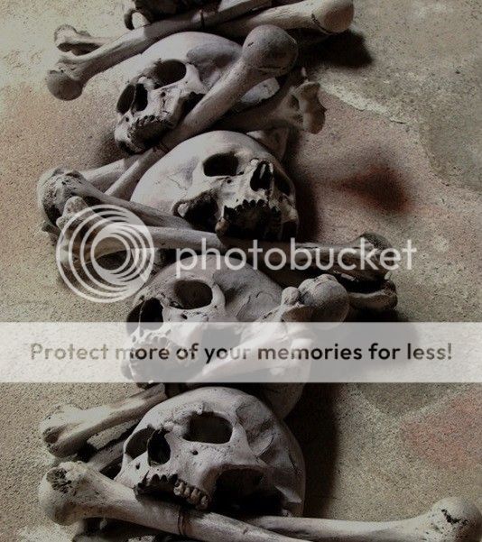 skulls_zpstrkg71tk.jpg