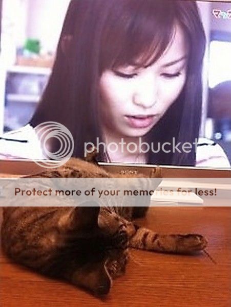 yi5737_zpsyjkqm3ex.jpg