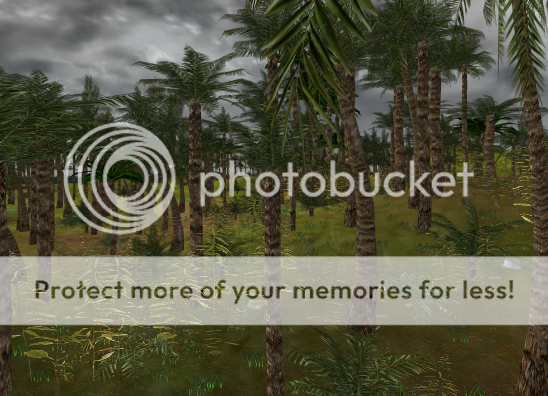 i383.photobucket.com/albums/oo275/PickledStudios/JungleView2.png