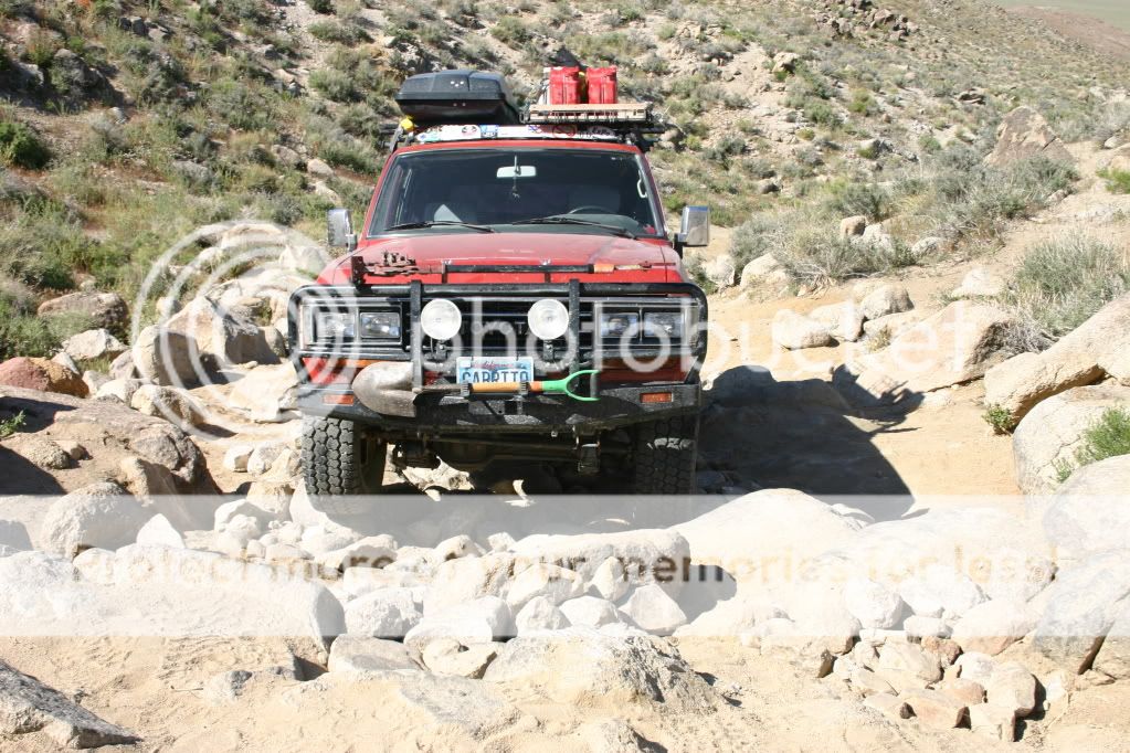 IMG_7723abouttogetstuckonmengal.jpg
