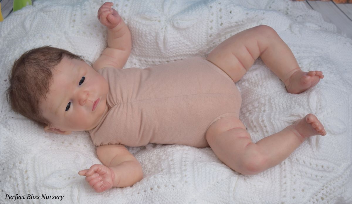 pbn yvonne etheridge reborn doll baby boy sculpt maylin by olga auer 0117 ebay pbn yvonne etheridge reborn doll baby boy sculpt maylin by olga auer 0117 ebay