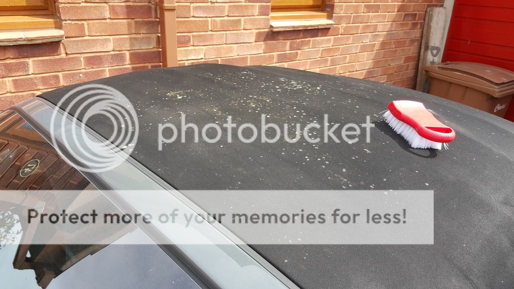 Cleaning my soft top Audi TT Forum