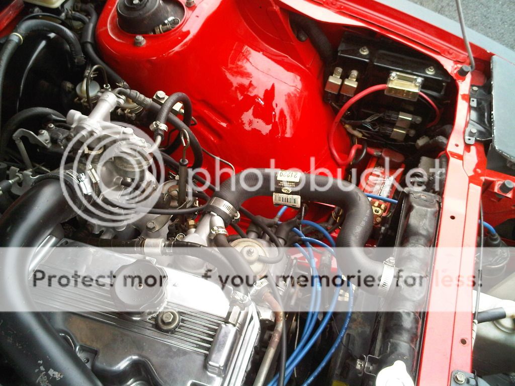 Posted Image