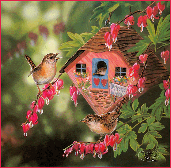 picbirdsandflowersmove