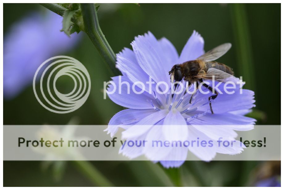 Fotografie