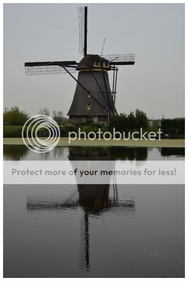 Fotografie