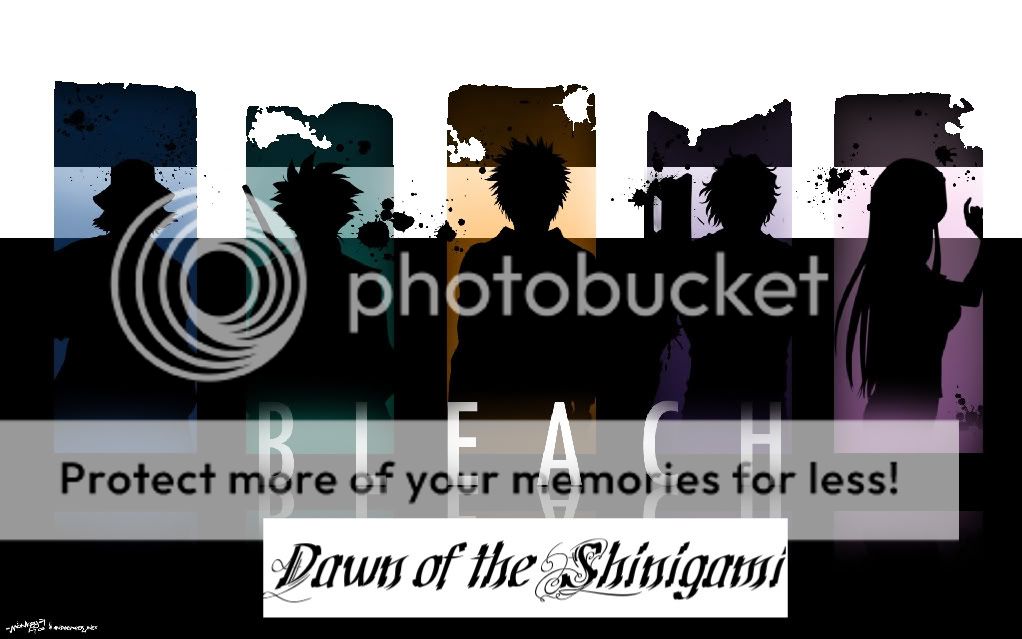 Bleach: The Dawn of Shinigami banner