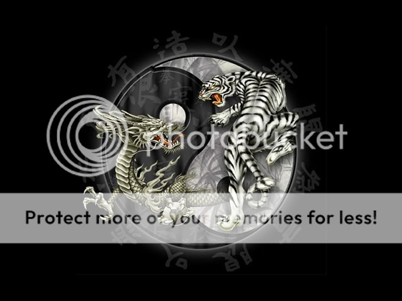 Dragon Tiger Ying Yang Pictures, Images & Photos | Photobucket